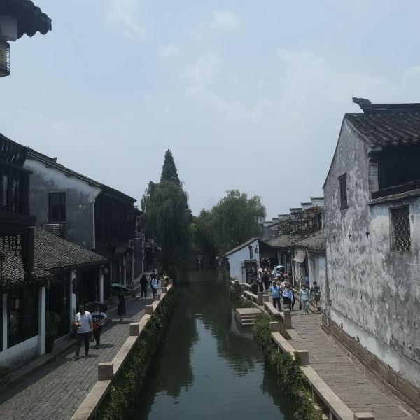 逗小猴开心系列174